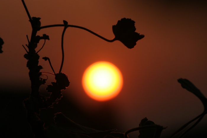 Coucher soleil balcon - 032